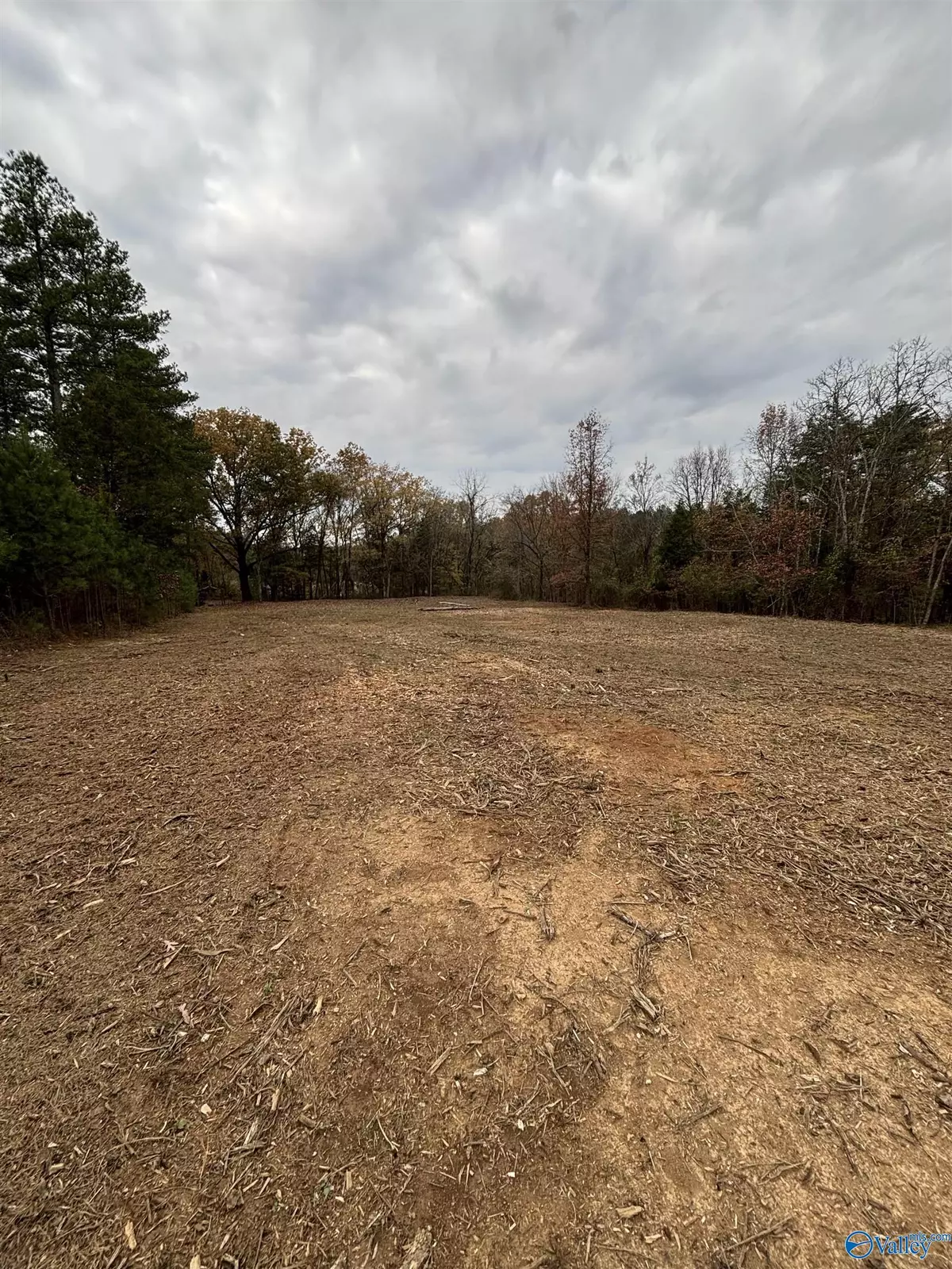 Moulton, AL 35650,10 Acres County Road 59