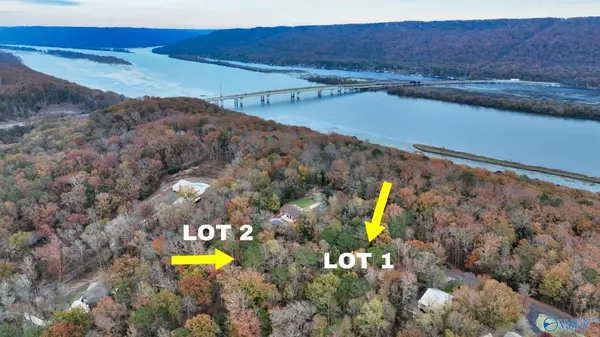 1.7 ACRE Bluff View Drive, Scottsboro, AL 35769