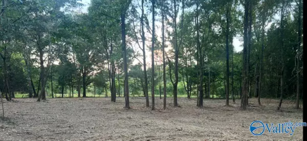 2.6acres County Road 242, Moulton, AL 35650