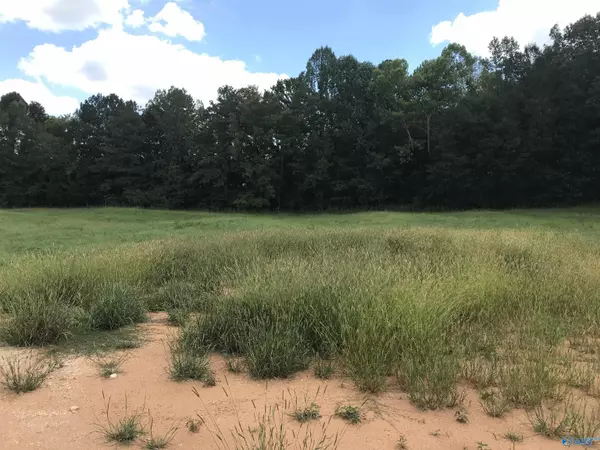 Ashville, AL 35953,2710 County Road 26