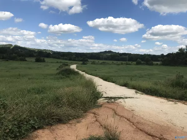 Ashville, AL 35953,2710 County Road 26