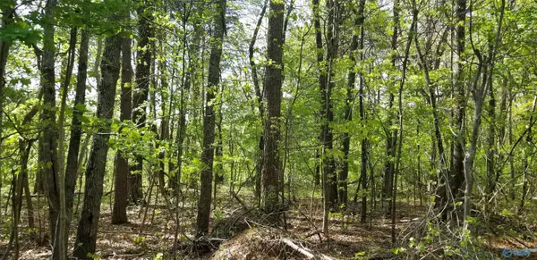 Mentone, AL 35984,Lot #1 Road 9079