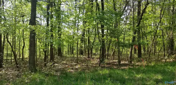 Mentone, AL 35984,Lot #1 Road 9079