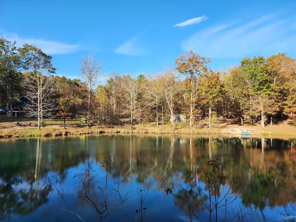 Mentone, AL 35984,Lot #1 Road 9079