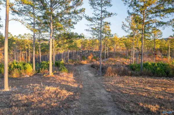 Gaylesville, AL 35973,4090 County Road 62