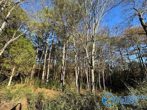 Madison, AL 35757,2 acres Capshaw Road NW