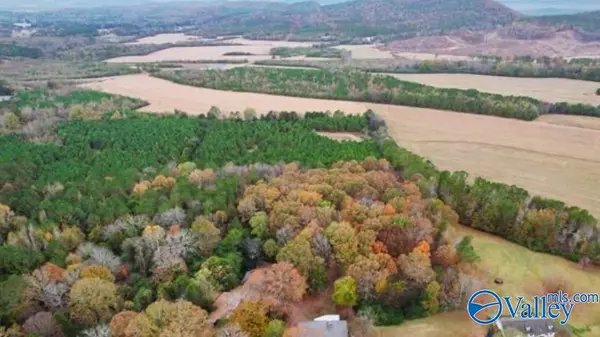 21.5 acres +/- County Road 91, Gaylesville, AL 35973