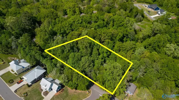 Guntersville, AL 35976,1.25 Deerman Street