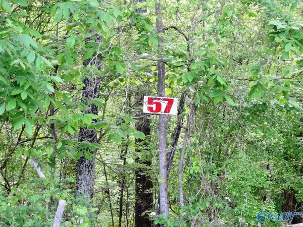 Jasper, AL 35504,Lot 57 Oak Leaf Court