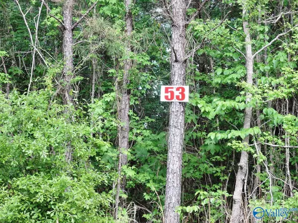 Jasper, AL 35504,Lot 53 Oak Leaf Court