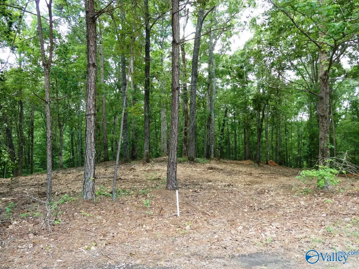 Jasper, AL 35504,Lot 77 Broken Arrow
