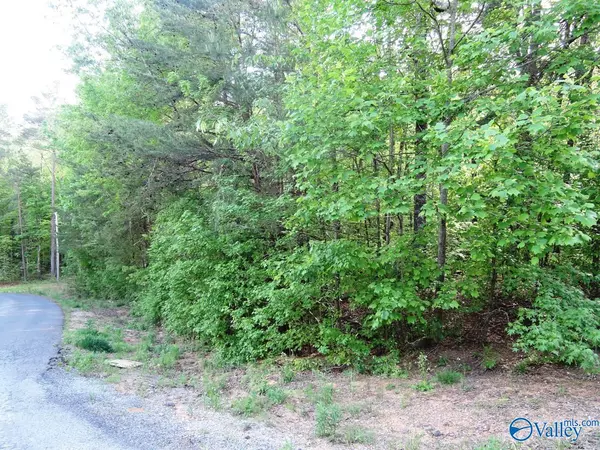 Jasper, AL 35504,Lot 4 Harbor Lights Trail