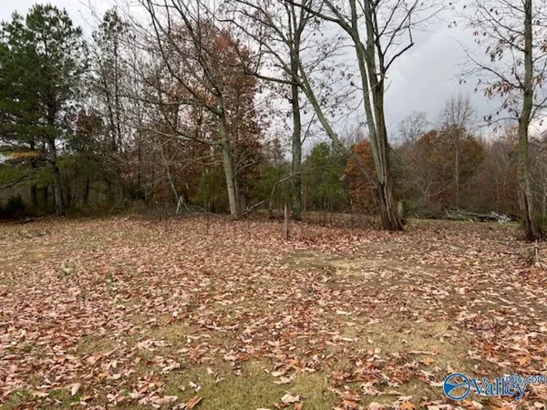 Eva, AL 35621,80 Vincent