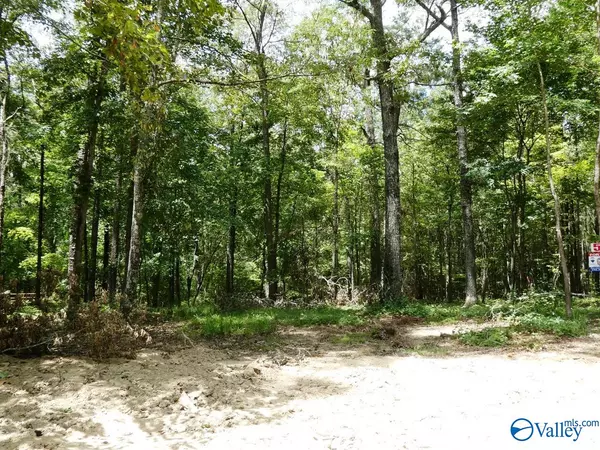 Jasper, AL 35504,Lot 51 Harbor Loop