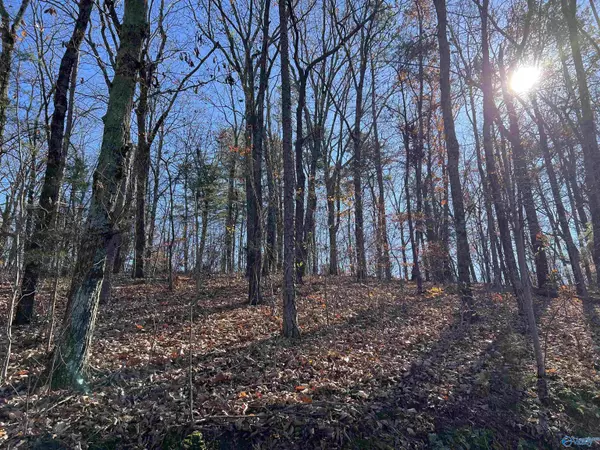 Menlo, GA 30731,16 acres Shinbone Valley Road