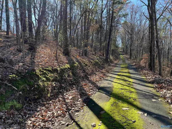 Menlo, GA 30731,16 acres Shinbone Valley Road