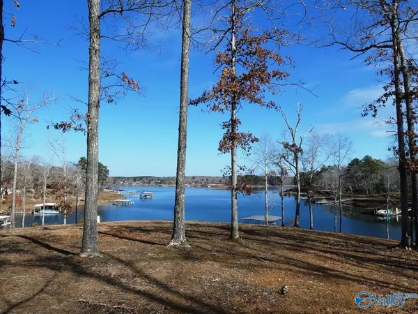 Jasper, AL 35504,295 Clubhouse Road