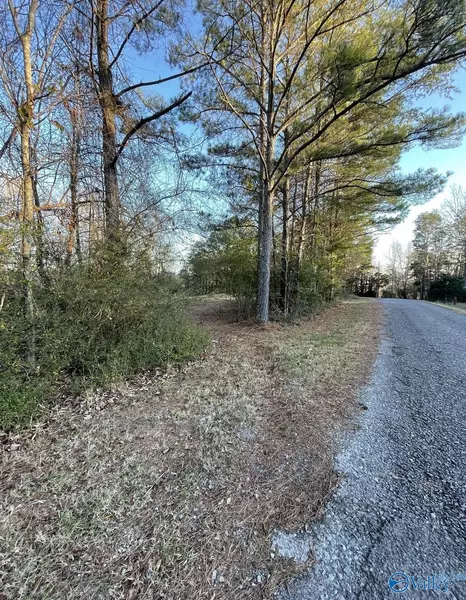 Lot 19 Leach Drive, Guntersville, AL 35976