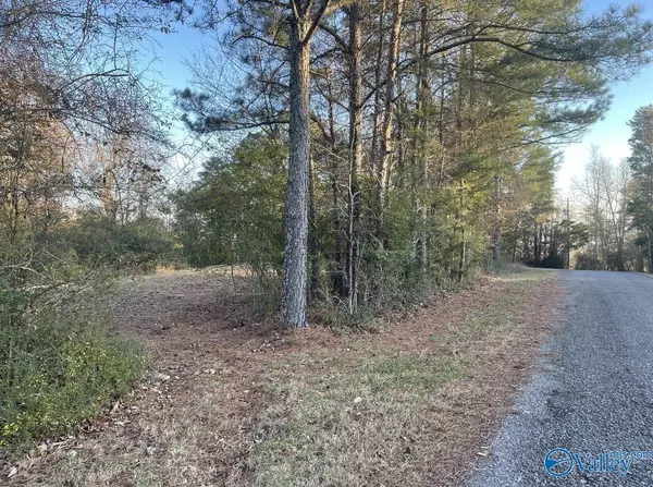 Guntersville, AL 35976,Lot 19 Leach Drive