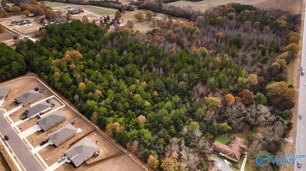 Owens Cross Roads, AL 35763,11 Acres Cave Spring Road