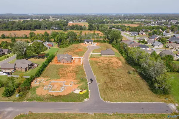 Decatur, AL 35603,Lot 10 Newcastle Lane