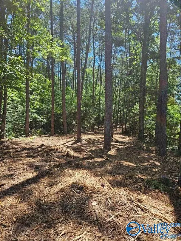 Cedar Bluff, AL 35959,Lot 68 County Road 608