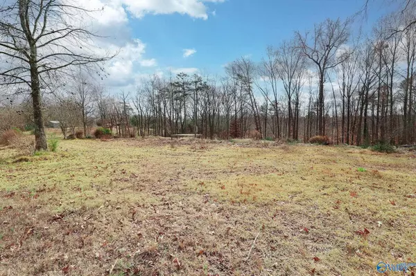 Courtland, AL 35618,4428 County Road 284