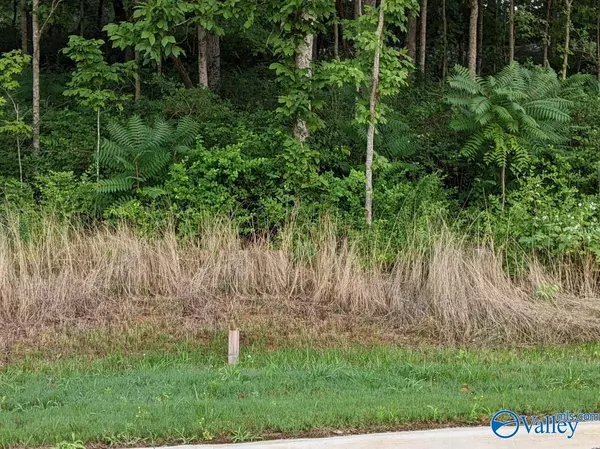 Huntsville, AL 35802,4103 Devon Street