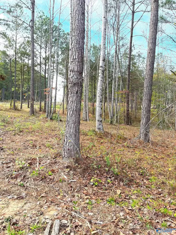 Double Springs, AL 35553,Lot 29 Shoreside Drive