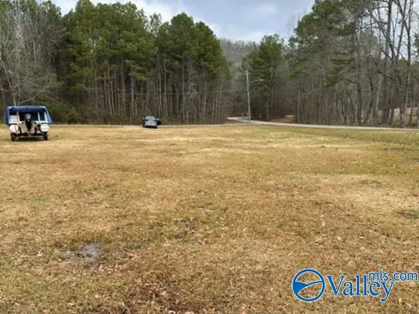 Rainbow City, AL 35906,0.05 E Swindall Circle