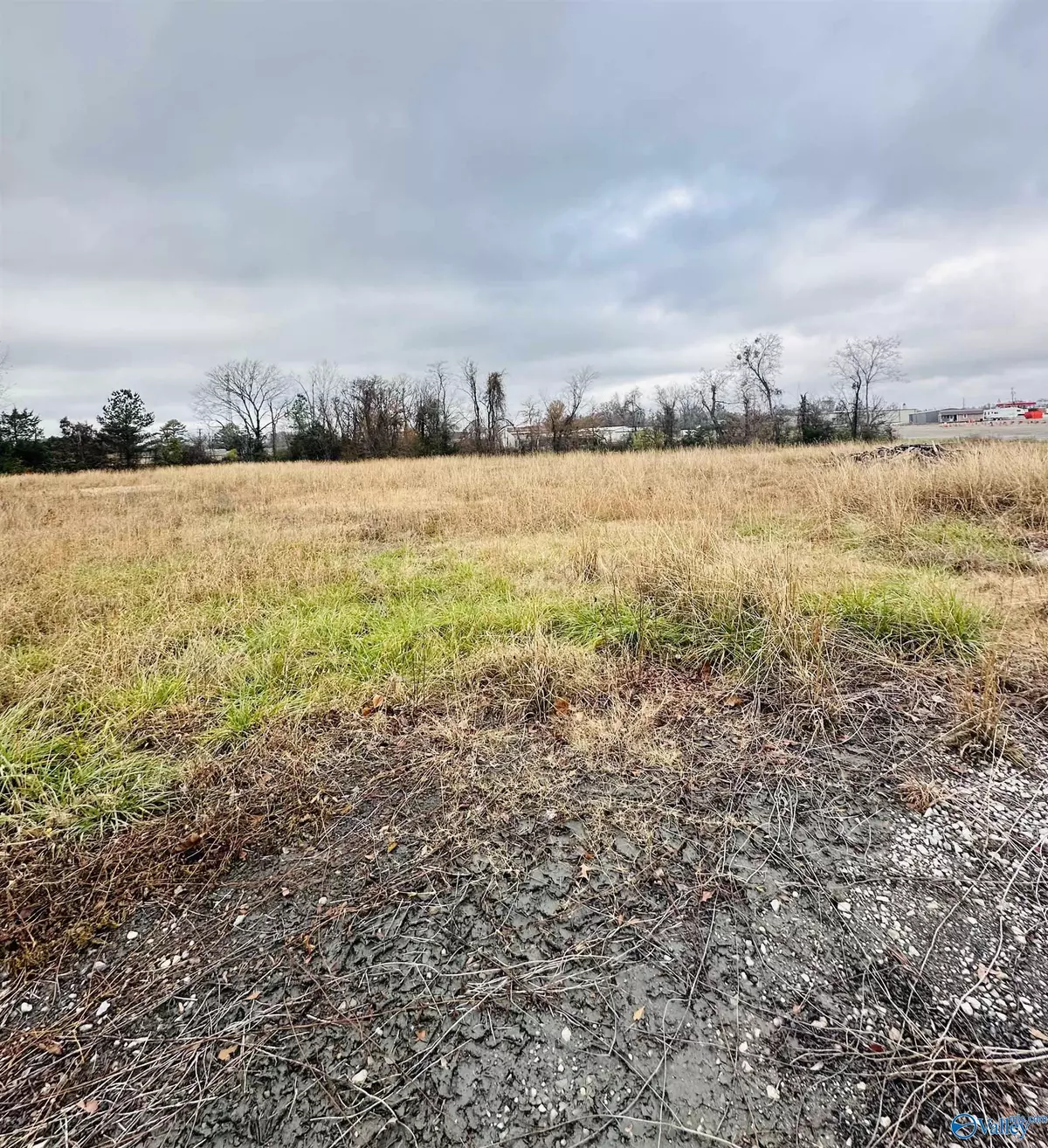 Moulton, AL 35650,1.4 acres Morgan Street