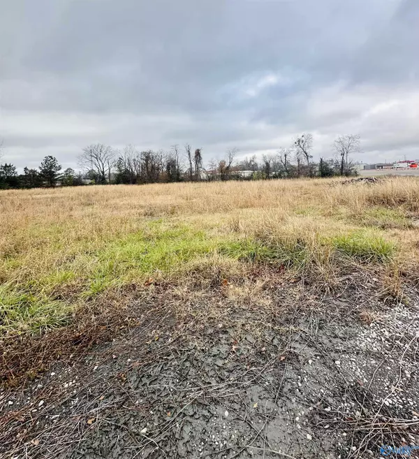 1.4 acres Morgan Street, Moulton, AL 35650