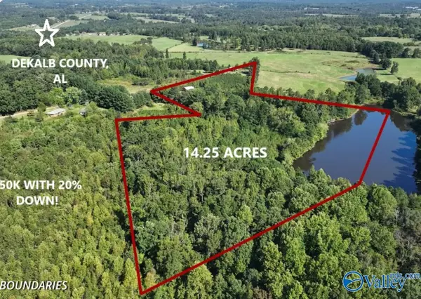 14.25 acres County Road 724, Henagar, AL 35978