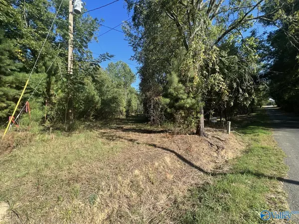 Athens, AL 35614,Tract 3 Williams Road