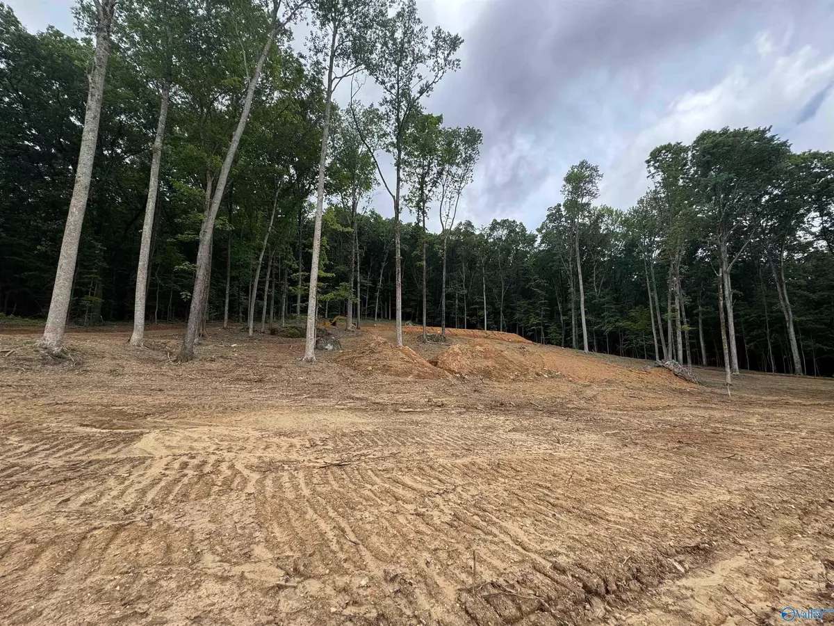 Scottsboro, AL 35769,900-13 County Road 114