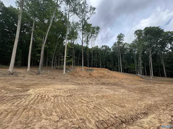 900-13 County Road 114, Scottsboro, AL 35769