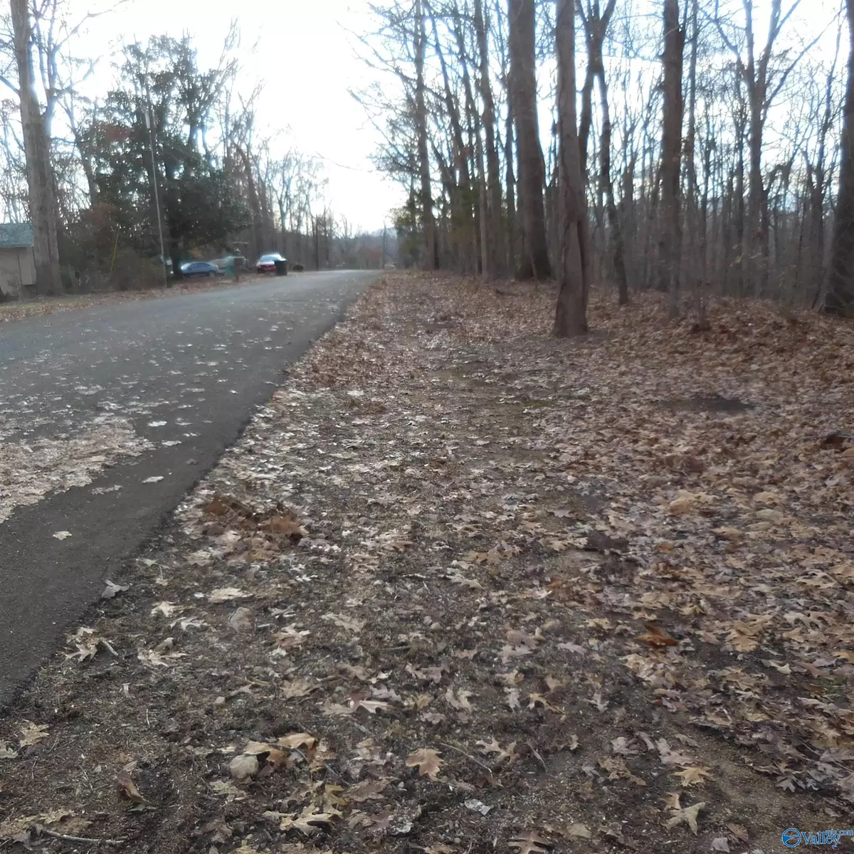 Scottsboro, AL 35768,5 Newport Drive