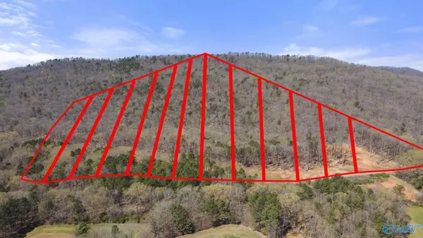 Scottsboro, AL 35769,B 900 County Road 114