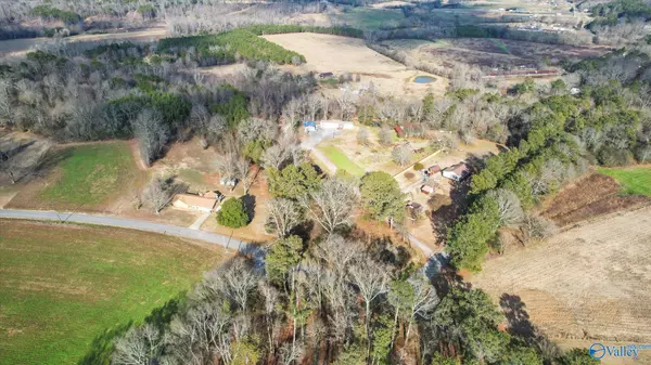 14.3 acres Needmore Road, Albertville, AL 35950