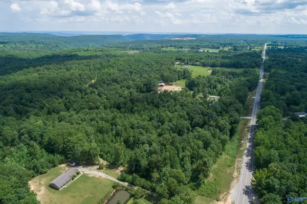 Scottsboro, AL 35768,46 acres Alabama Highway 79