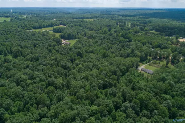 Scottsboro, AL 35768,46 acres Alabama Highway 79