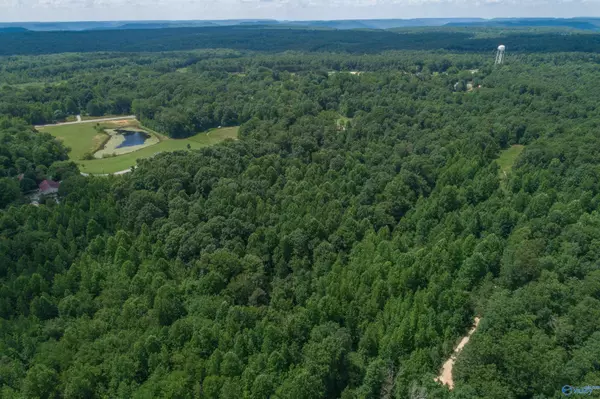 Scottsboro, AL 35768,46 acres Alabama Highway 79