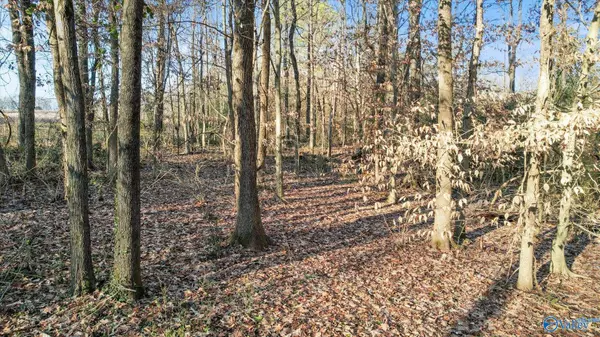 Athens, AL 35614,.45 Dogwood Lane