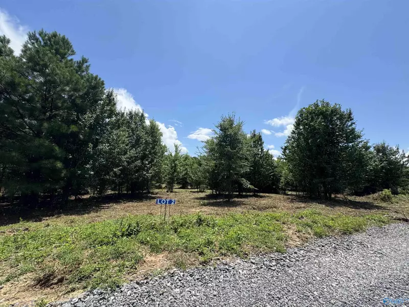 327 Razorback Way, Albertville, AL 35951