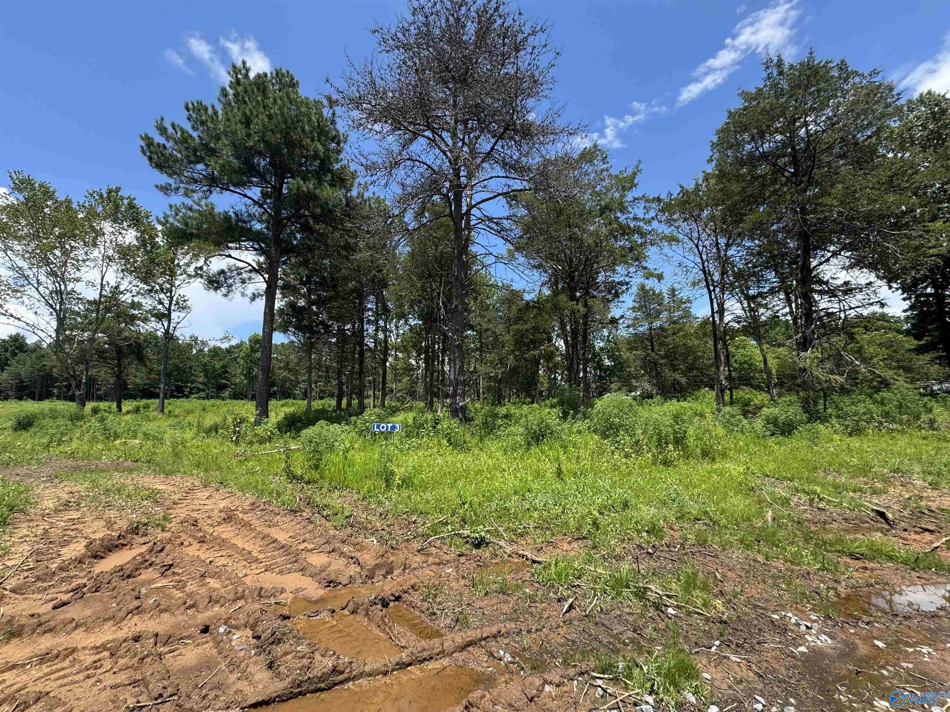 3 Razorback Way, Albertville, AL 35951