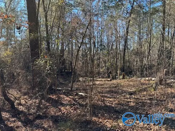Ashville, AL 35953,Lot 33 Odonnell Road