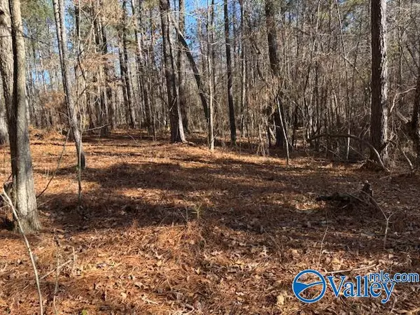 Lot 33 Odonnell Road, Ashville, AL 35953