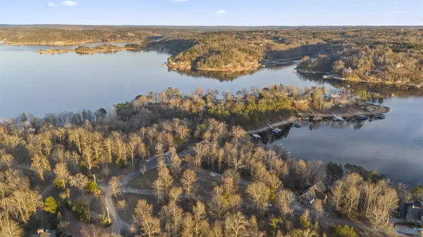 Crane Hill, AL 35053,2221 County Road 870