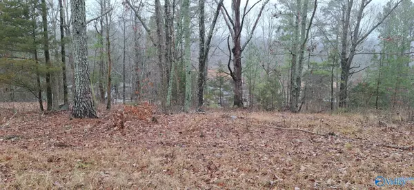 Eva, AL 35621,4 Eva Road