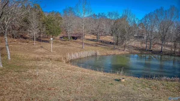 Russellville, AL 35654,3721 County Highway 56